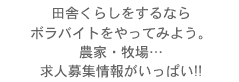 cɂ炵Ȃ {oCgĂ݂悤B _ƁEqc lW񂪂ς!!